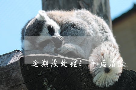 逾期没处理5年后消除 逾期没处理5年后消除