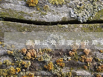 逾期没处理完能分期买车吗 逾期没处理完能分期买车吗