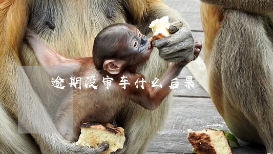 逾期没审车什么后果