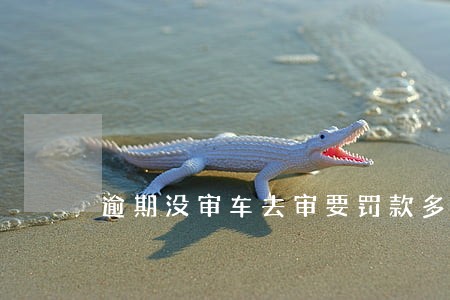 逾期没审车去审要罚款多少 逾期没审车去审要罚款多少