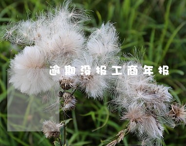 逾期没报工商年报 逾期没报工商年报