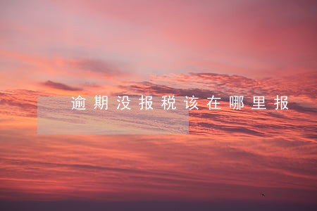 逾期没报税该在哪里报