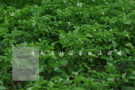 逾期没换证会被注销吗 逾期没换证会被注销吗