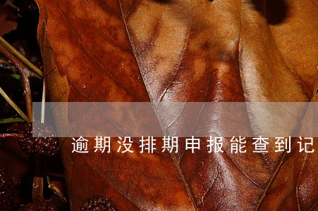 逾期没排期申报能查到记录吗 逾期没排期申报能查到记录吗