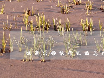 逾期没接银行电话怎么办