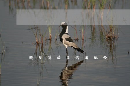 逾期没提交试用报告 逾期没提交试用报告