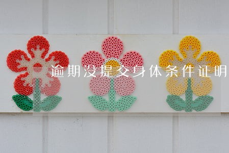 逾期没提交身体条件证明 逾期没提交身体条件证明
