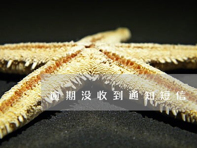 逾期没收到通知短信 逾期没收到通知短信