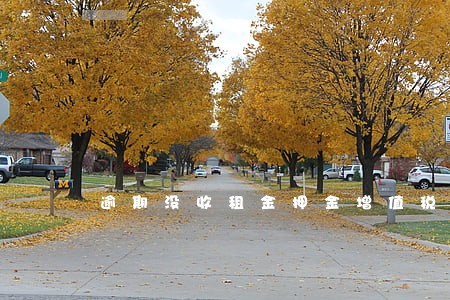 逾期没收租金押金增值税
