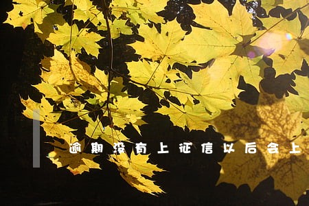 逾期没有上征信以后会上吗 逾期没有上征信以后会上吗