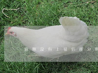 逾期没有上征信能分期买车吗 逾期没有上征信能分期买车吗