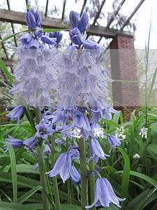 逾期没有交保险公司的钱会怎么样 逾期没有交保险公司的钱会怎么样