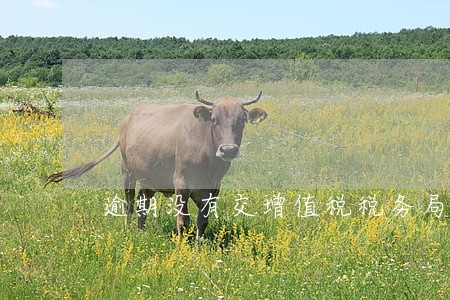 逾期没有交增值税税务局怎么处理 逾期没有交增值税税务局怎么处理