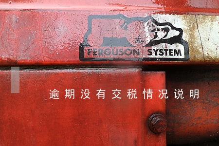 逾期没有交税情况说明 逾期没有交税情况说明