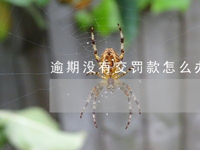 逾期没有交罚款怎么办 逾期没有交罚款怎么办