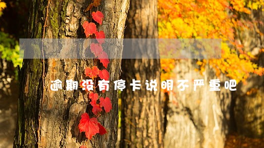 逾期没有停卡说明不严重吧 逾期没有停卡说明不严重吧