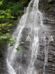 逾期没有偿还债务法条 逾期没有偿还债务法条