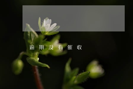 逾期没有催收 逾期没有催收