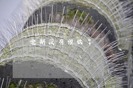 逾期没有催收了 逾期没有催收了