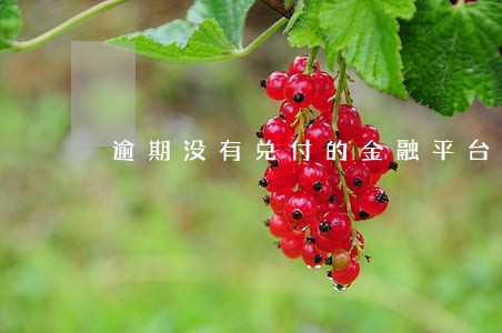 逾期没有兑付的金融平台 逾期没有兑付的金融平台