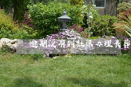 逾期没有到社保办理丧葬怎么办
