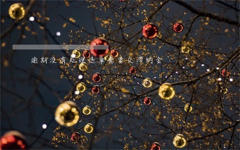 逾期没有处理违章需要交滞纳金 逾期没有处理违章需要交滞纳金