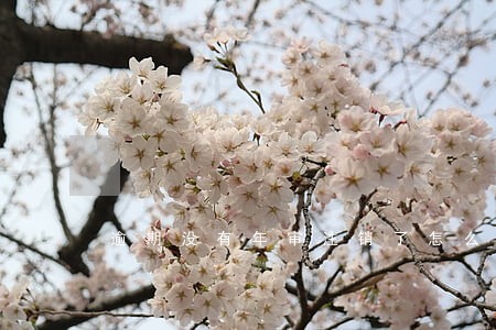 逾期没有年审注销了怎么办 逾期没有年审注销了怎么办