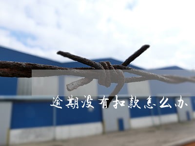 逾期没有扣款怎么办 逾期没有扣款怎么办