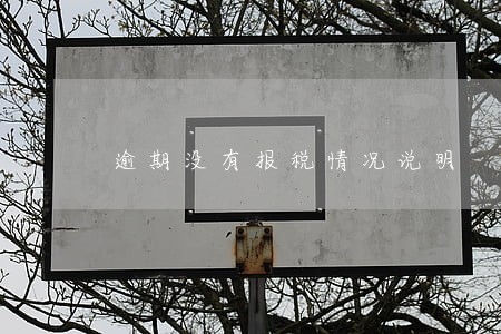 逾期没有报税情况说明 逾期没有报税情况说明