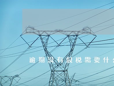 逾期没有报税需要什么 逾期没有报税需要什么