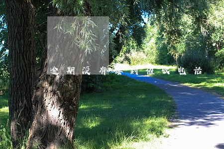 逾期没有接到催收电话 逾期没有接到催收电话