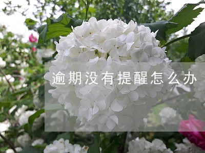 逾期没有提醒怎么办 逾期没有提醒怎么办