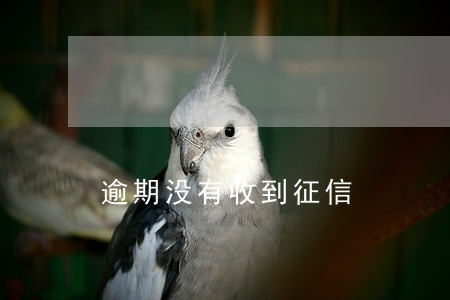 逾期没有收到征信 逾期没有收到征信