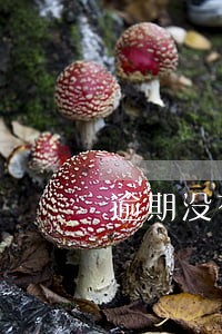 逾期没有收到短信怎么办 逾期没有收到短信怎么办