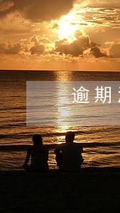 逾期没有收汇的情况说明书