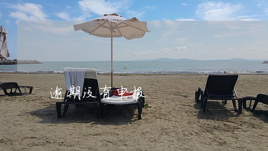 逾期没有申报 逾期没有申报