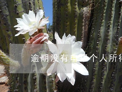 逾期没有申报个人所得税 逾期没有申报个人所得税