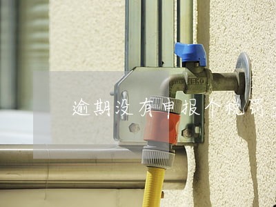 逾期没有申报个税罚多少钱 逾期没有申报个税罚多少钱