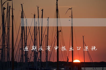 逾期没有申报出口退税 逾期没有申报出口退税