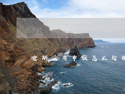 逾期没有申报怎么处理 逾期没有申报怎么处理