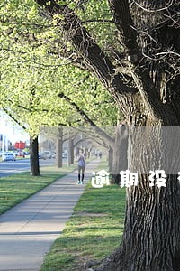逾期没有申报还可以继续申报吗 逾期没有申报还可以继续申报吗