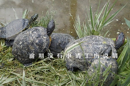 逾期没有申请工伤说明 逾期没有申请工伤说明
