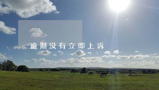 逾期没有立即上诉 逾期没有立即上诉