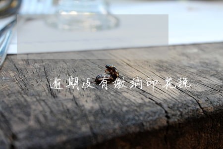 逾期没有缴纳印花税 逾期没有缴纳印花税