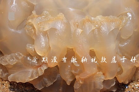 逾期没有缴纳税款属于什么 逾期没有缴纳税款属于什么