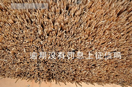 逾期没有罚息上征信吗 逾期没有罚息上征信吗