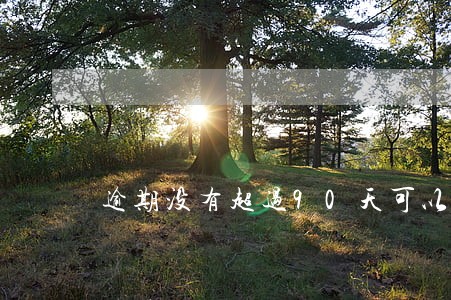 逾期没有超过90天可以买房吗