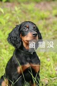 逾期没有超过90天怎么处理 逾期没有超过90天怎么处理