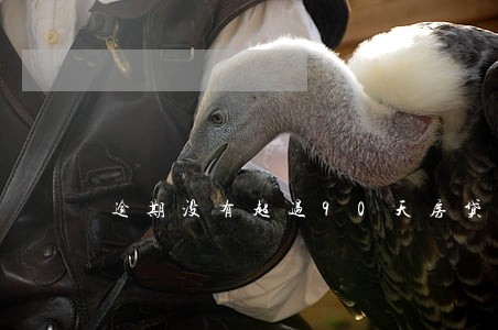 逾期没有超过90天房贷 逾期没有超过90天房贷