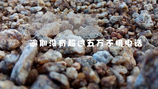 逾期没有超过五万不接电话 逾期没有超过五万不接电话